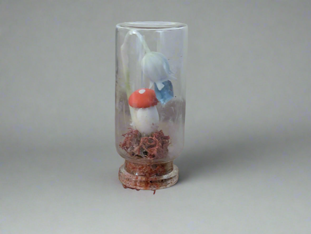 Mini Forest Terrarium โ Toadstool & Bellflower with Crystal Vial (2โ)
