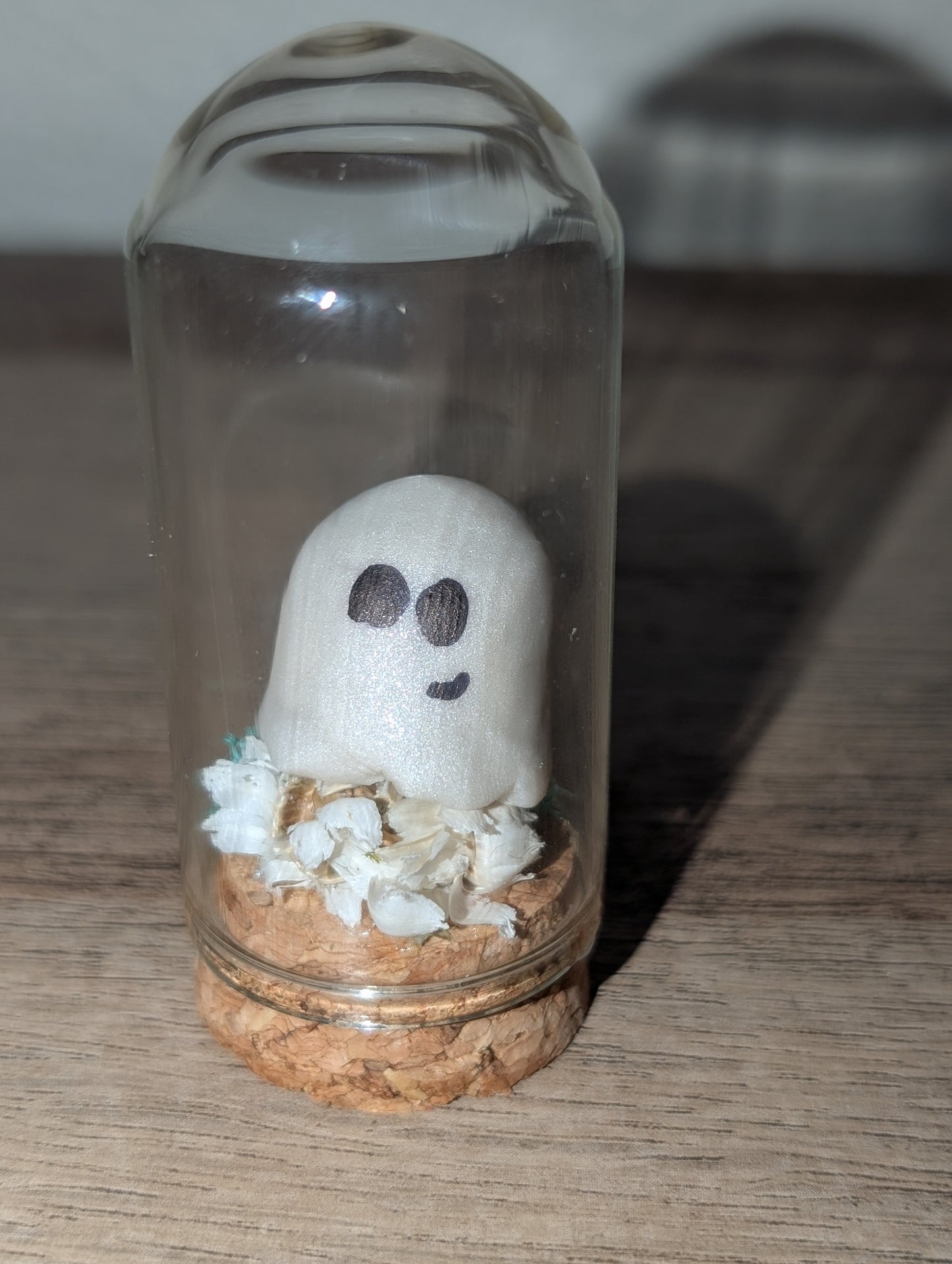 ๐ป White Ghost in Bloom โ Terrariums by Teter
