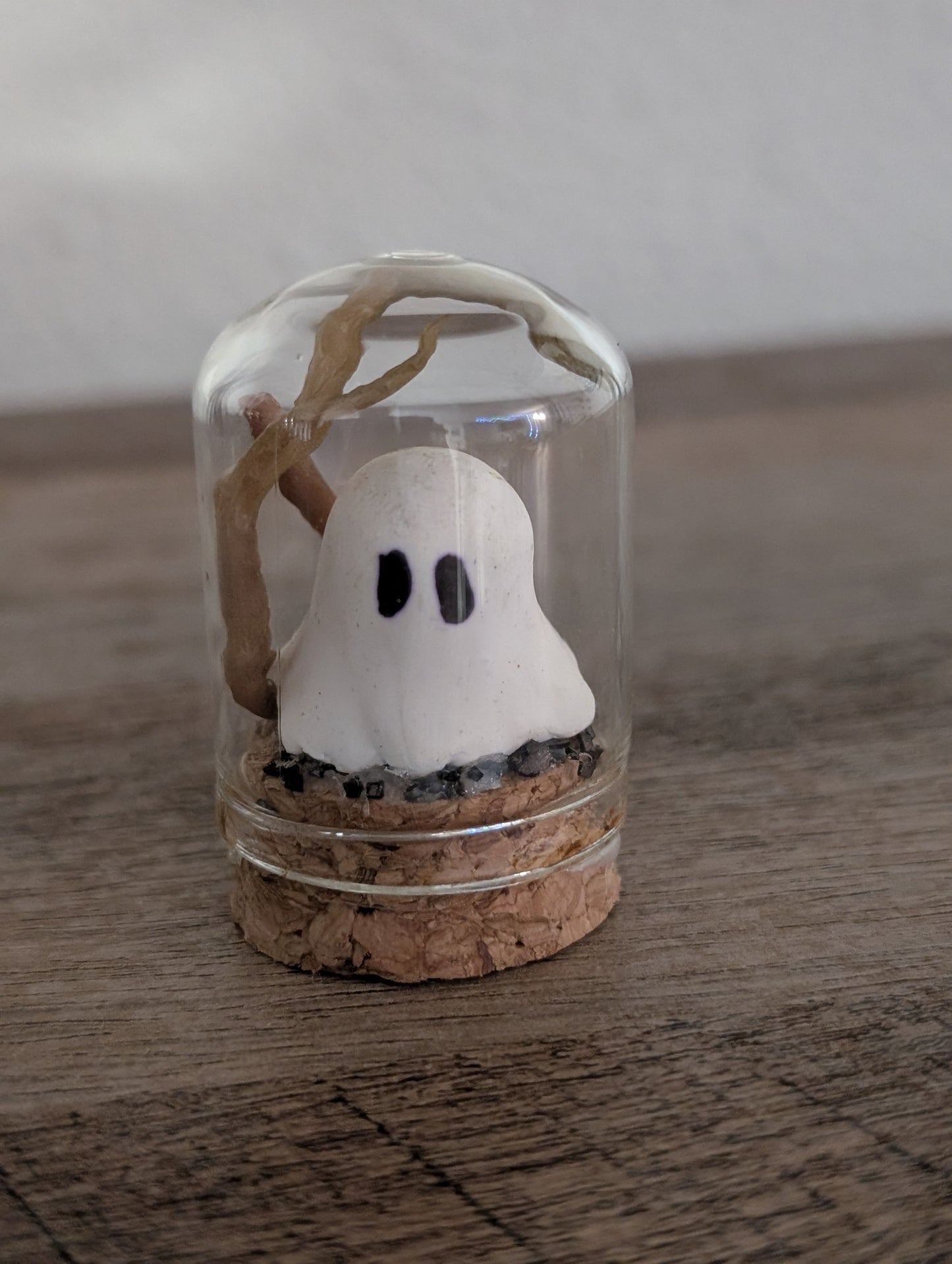 👻 Ghost with Roots – Terrariums by Teter