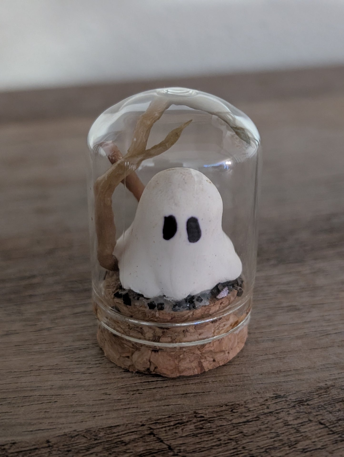 👻 Ghost with Roots – Terrariums by Teter