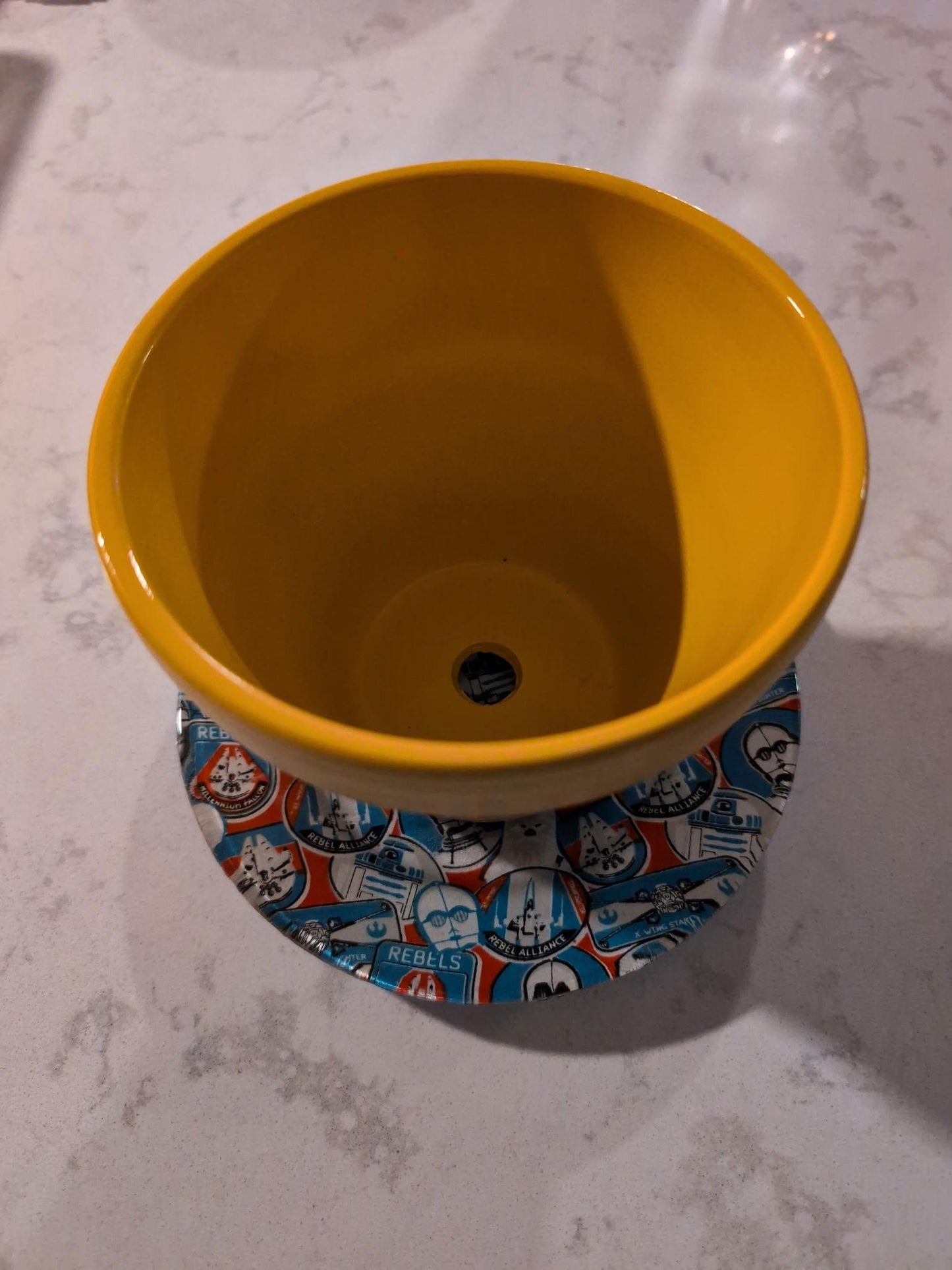 Rebel Roots – Upcycled Star Wars Saucer for Plant Pots or Decor (7”)