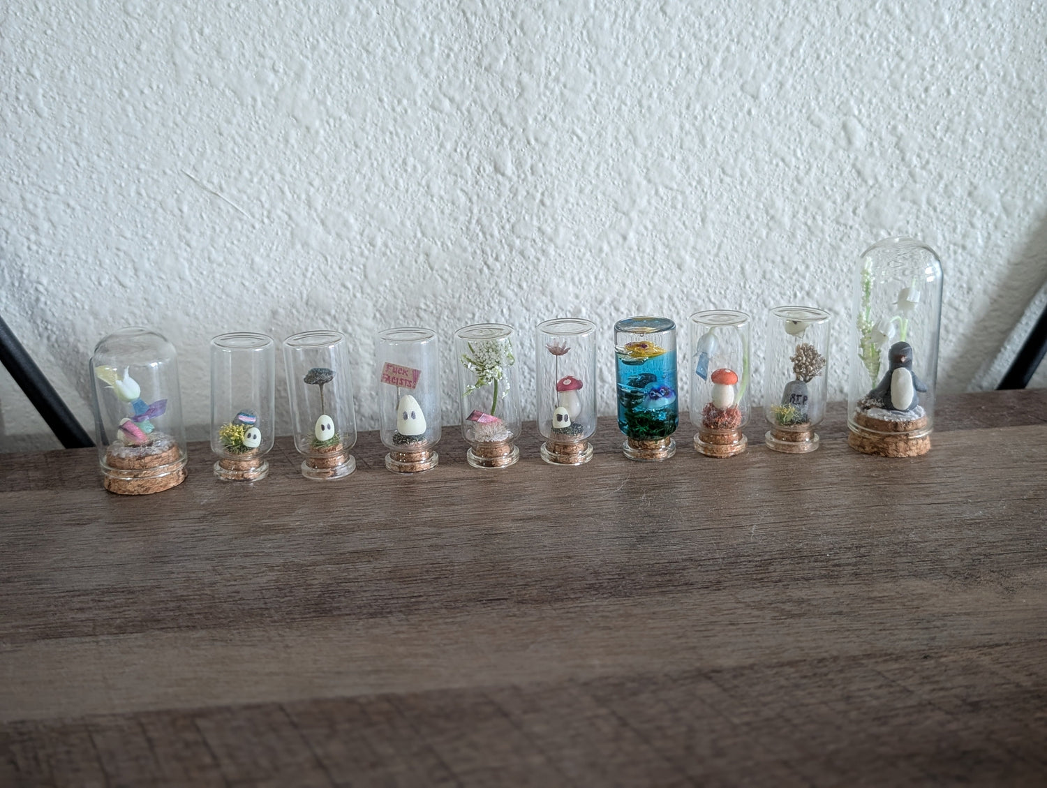 Terrariums