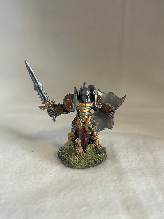 ⚔️ Armored Champion – Hand-Painted Reaper Miniature