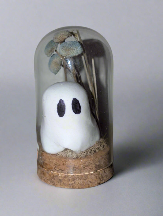 🌙 Shy Under Mooncaps – Terrariums by Teter