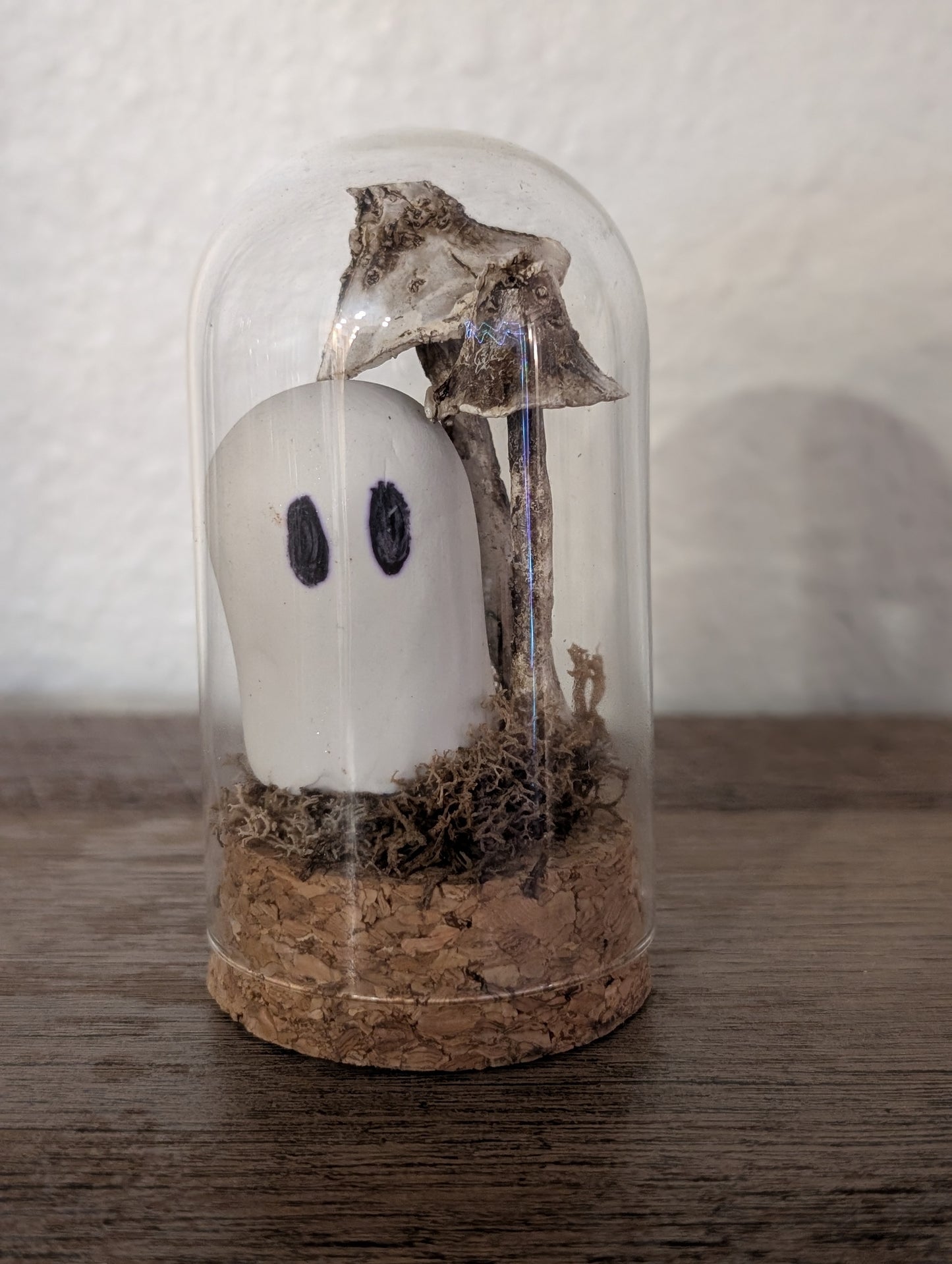 🌲 Lurker in the Glade – Terrariums by Teter
