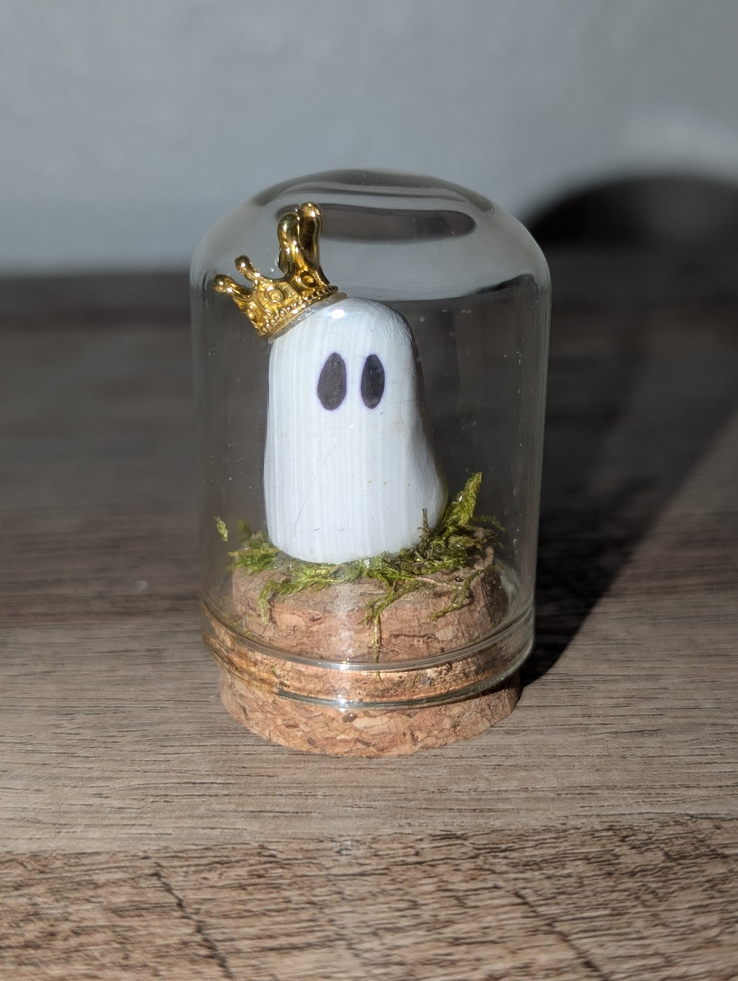 👑 Crowned and Boo-tiful – Terrariums by Teter