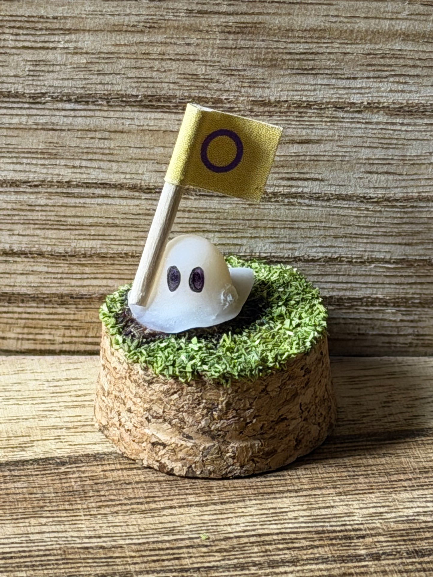 Pride Ghost Terrarium