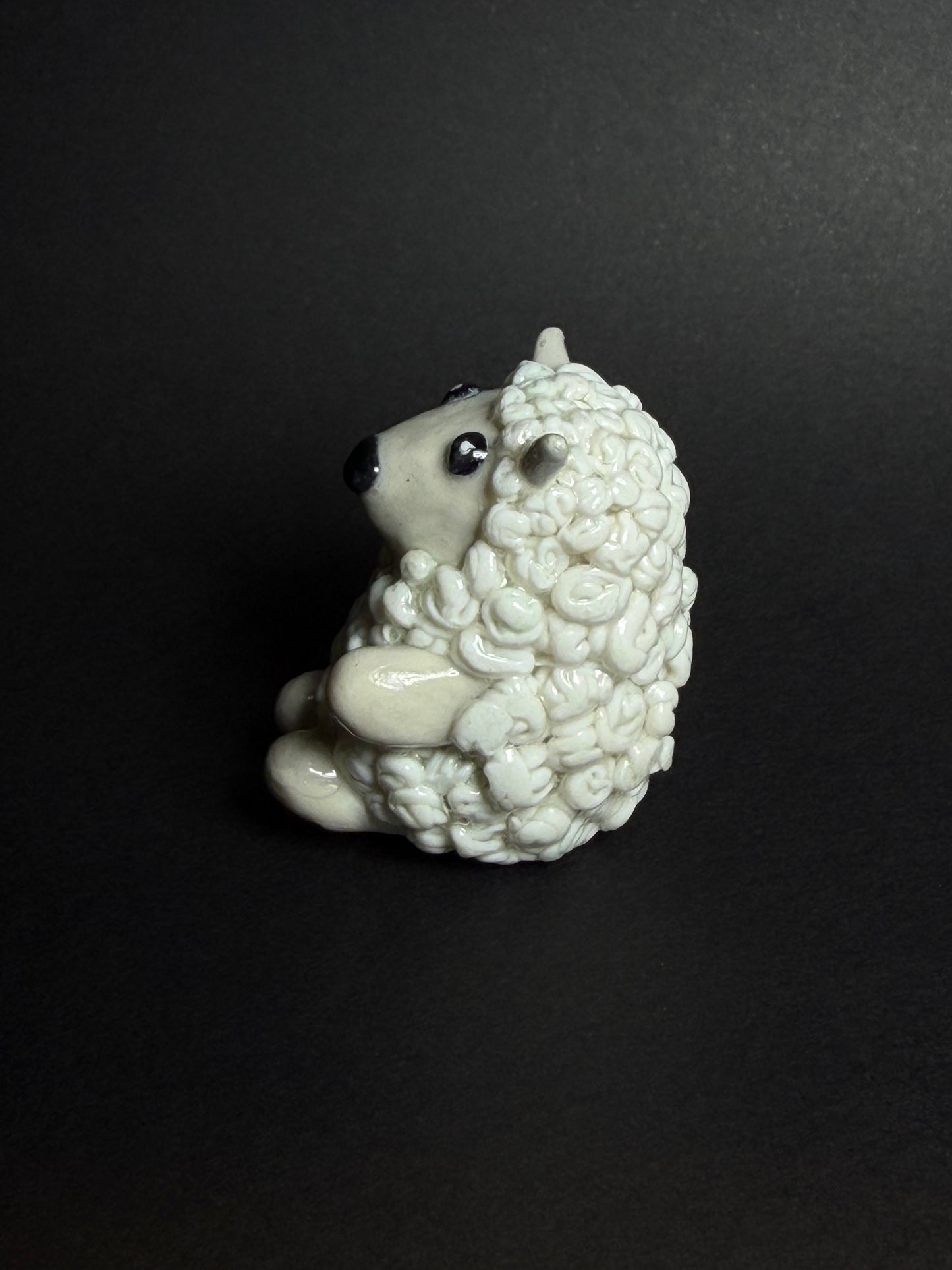 EweGina - Friends of Francis