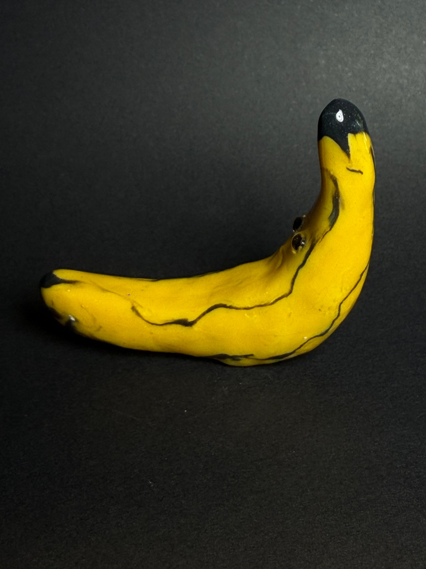 Musa - Botany Buds
