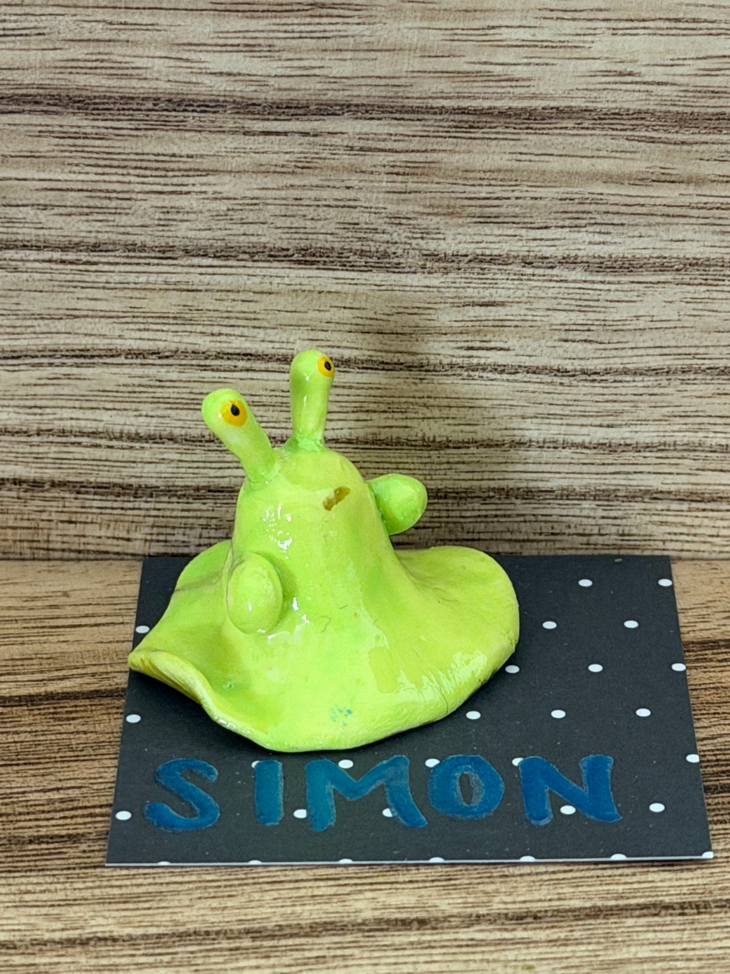 Simon - Friends of Francis
