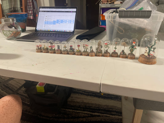 Mushroom Terrariums