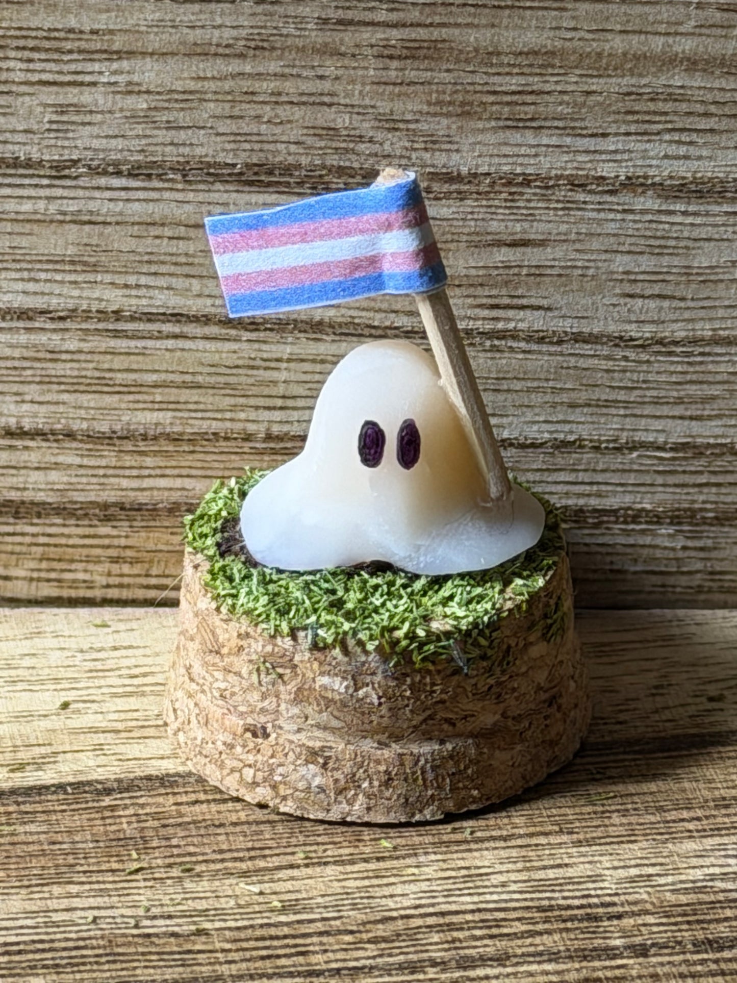 Pride Ghost Terrarium